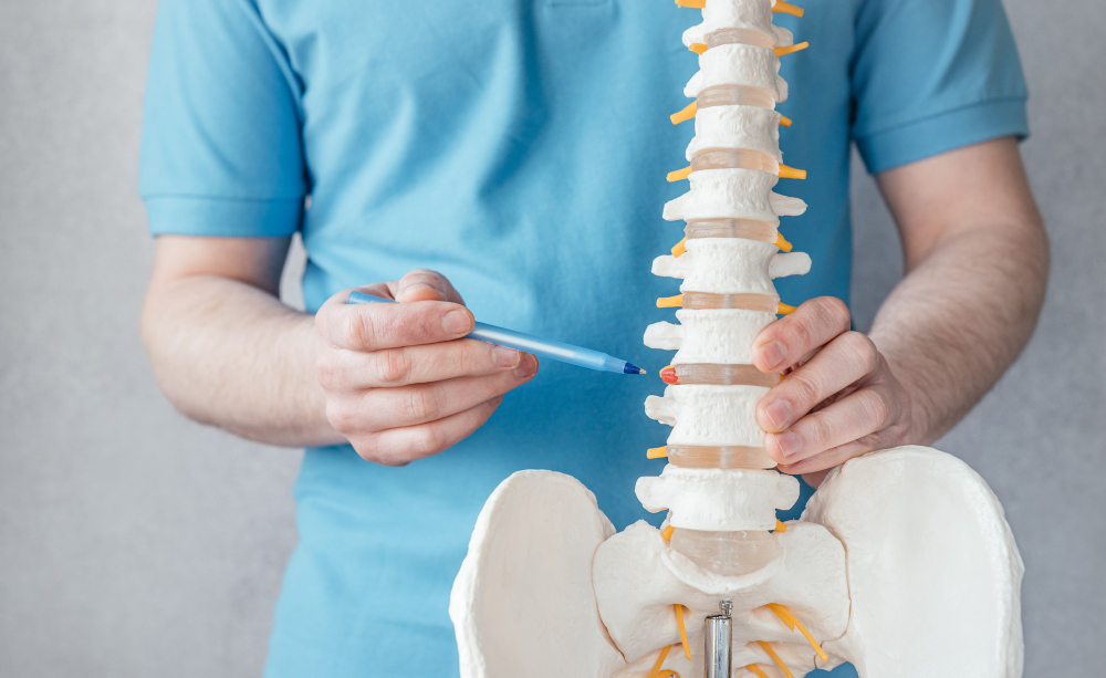 chiropractic services South Jordan